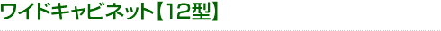 ワイドキャビネット【12型】